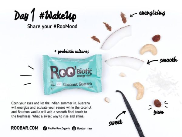 ROOBALL PROBIOTIC COCONUT & GUARANA RAW ORGANIC ENERGY BALL - Image 4